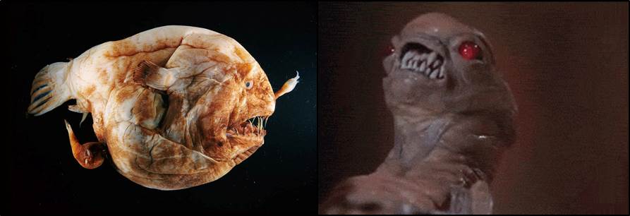 Anglerfish Alien Baby