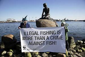 Illegal fishing is easy to protest.  But, what about unregulated fishing? (WWF)