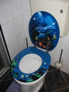 Think a shark is scary?  How about this toilet?